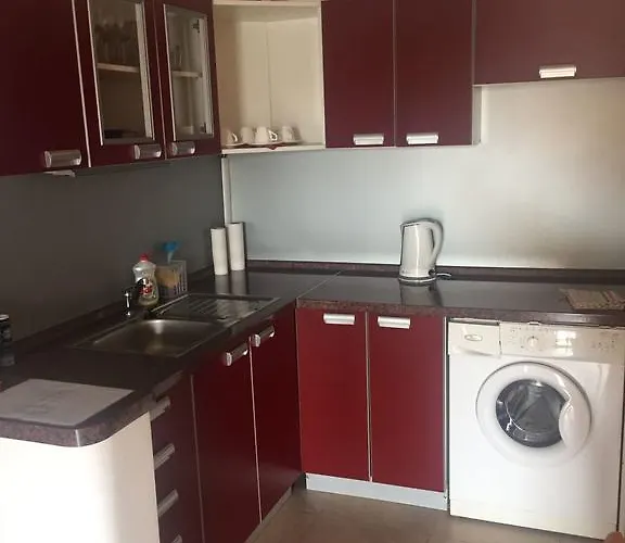 奥斯汀公寓式酒店 公寓